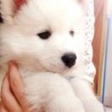 雨过天晴