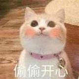 Wings君影千陌