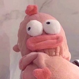 是萝卜不是白菜