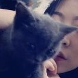 杨七