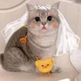 乐多