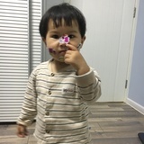 杨柳青青
