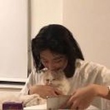Cute🐑