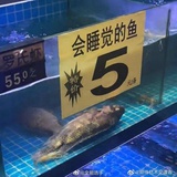 jay要好好打工