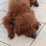 BY宝悦