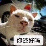 美丽不打折