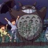 龙猫先生