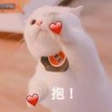 柠澈