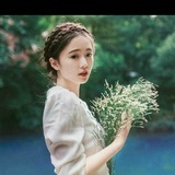 叮当猪