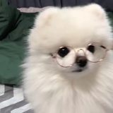饭咩咩
