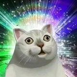 南墙下的猪