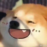 嘿嘿