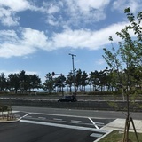 言