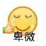 远鹅鹅鹅儿