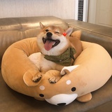 一坨酸柠檬