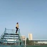 视线往南