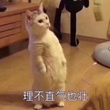 溯洄从之