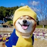 fu