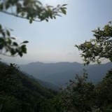 我是FEIFEI啊