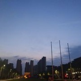 自在独行的大白