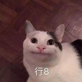 行走的哆来咪
