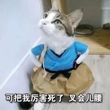加非