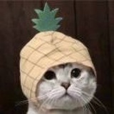 aaaa