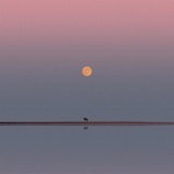 漫游外太空
