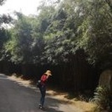 嗨森嗨森的小姐