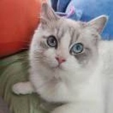 咦咦咦