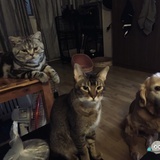 整个晚上