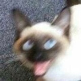 杠杆终结者