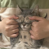 我叫什么名字好