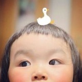 阿珂珂珂珂珂珂