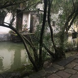 云非雪汪