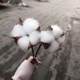 廾匸