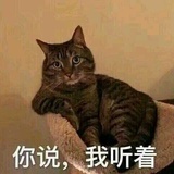 豆豆蛙