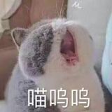 一个巴掌一个枣