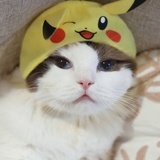 救赎
