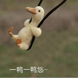 一幅静物
