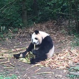 于雨遇鱼