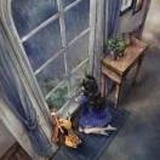 寻找那片梧桐树