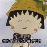 豆豆豆豆
