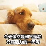 名字不想了