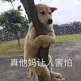 一剑光寒十九州
