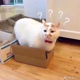 你们都不是麻麻
