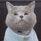 哈哈哈哈哈哈