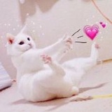 你好好看看我哦