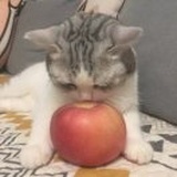 青提子