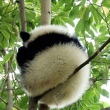 沉默是金